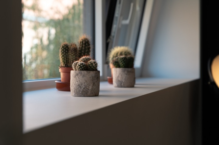 Colomes créations |  Image Alt 